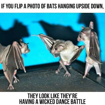 Batman, drop that tune