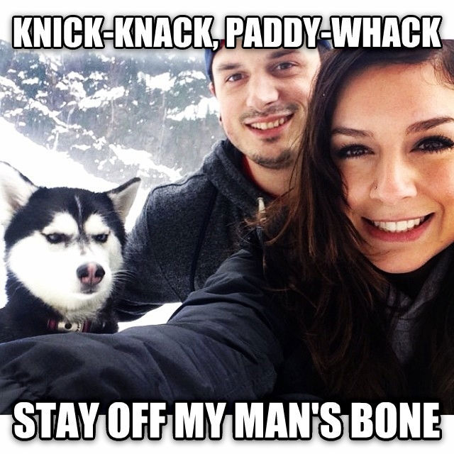 Missnöjd husky