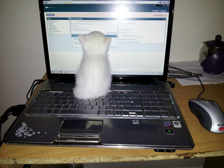 Datanörd