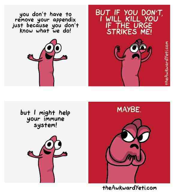 Appendix