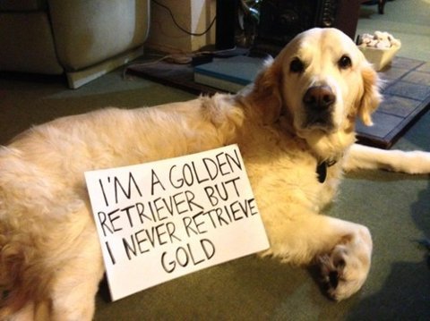 Shame on you