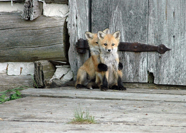 Hold me bro