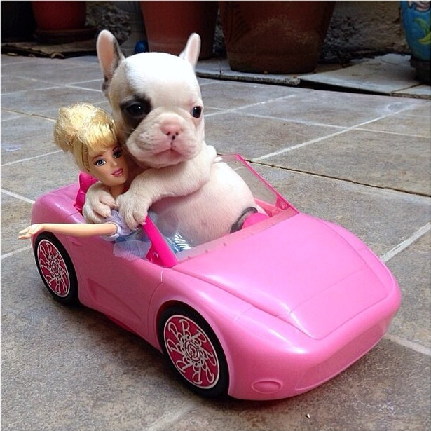 Just cruising