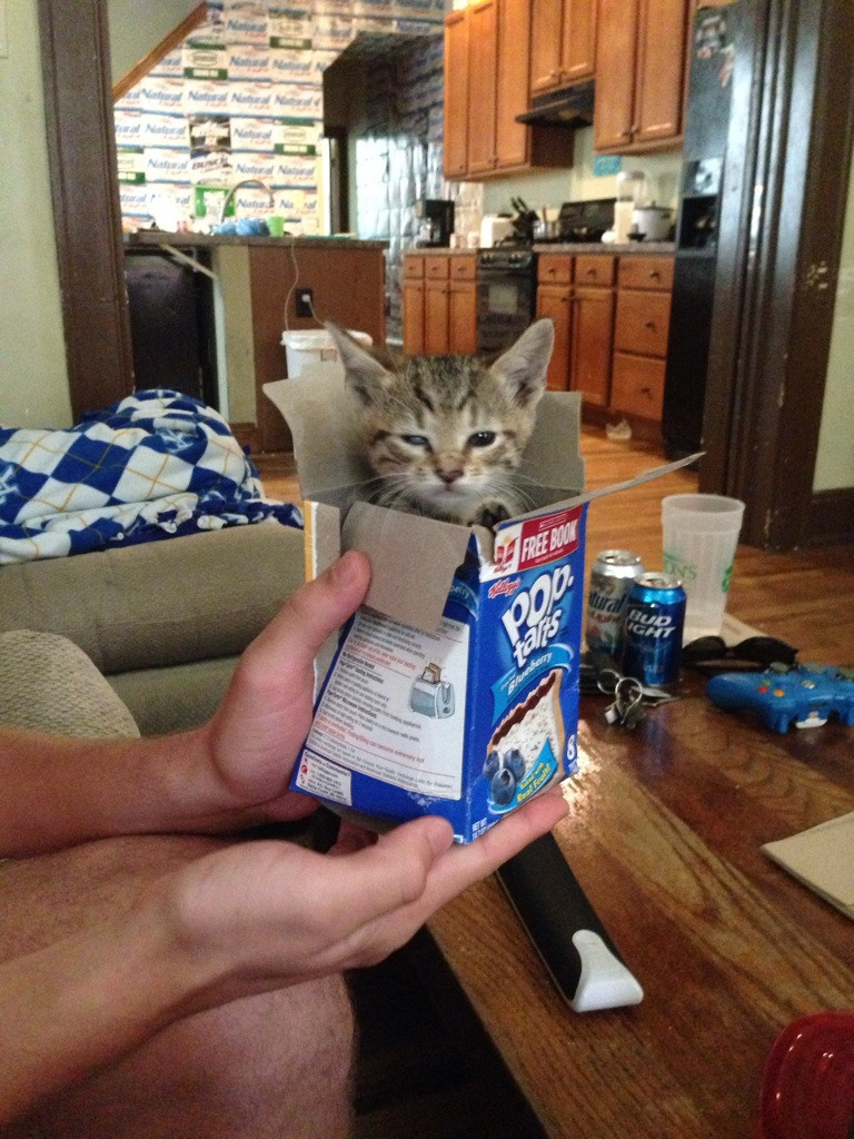 Söt poptart