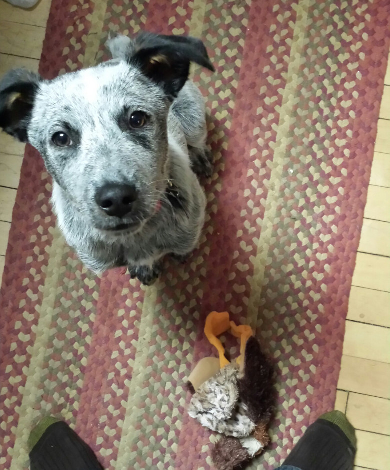 Throw please