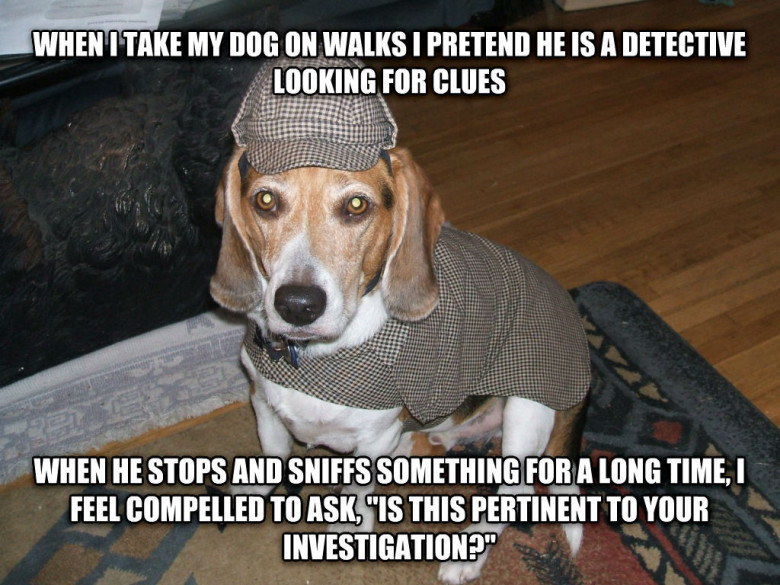 Detective dog