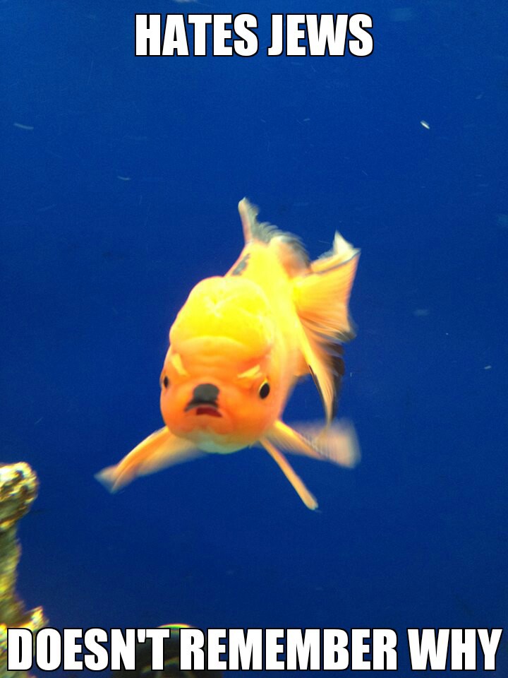 Hitler goldfish