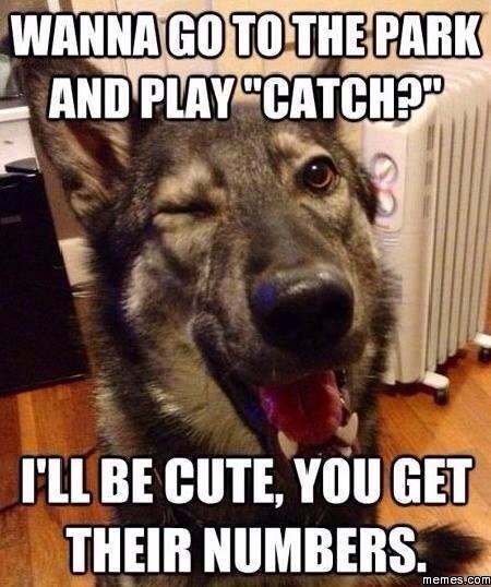 Best wingman ever!