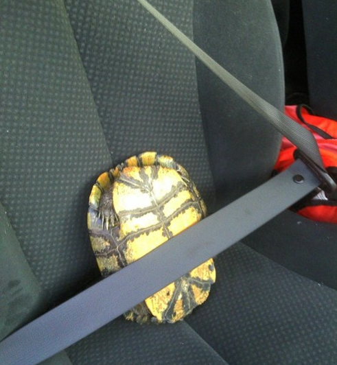 Safe and sound