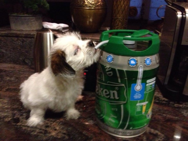 Keg party