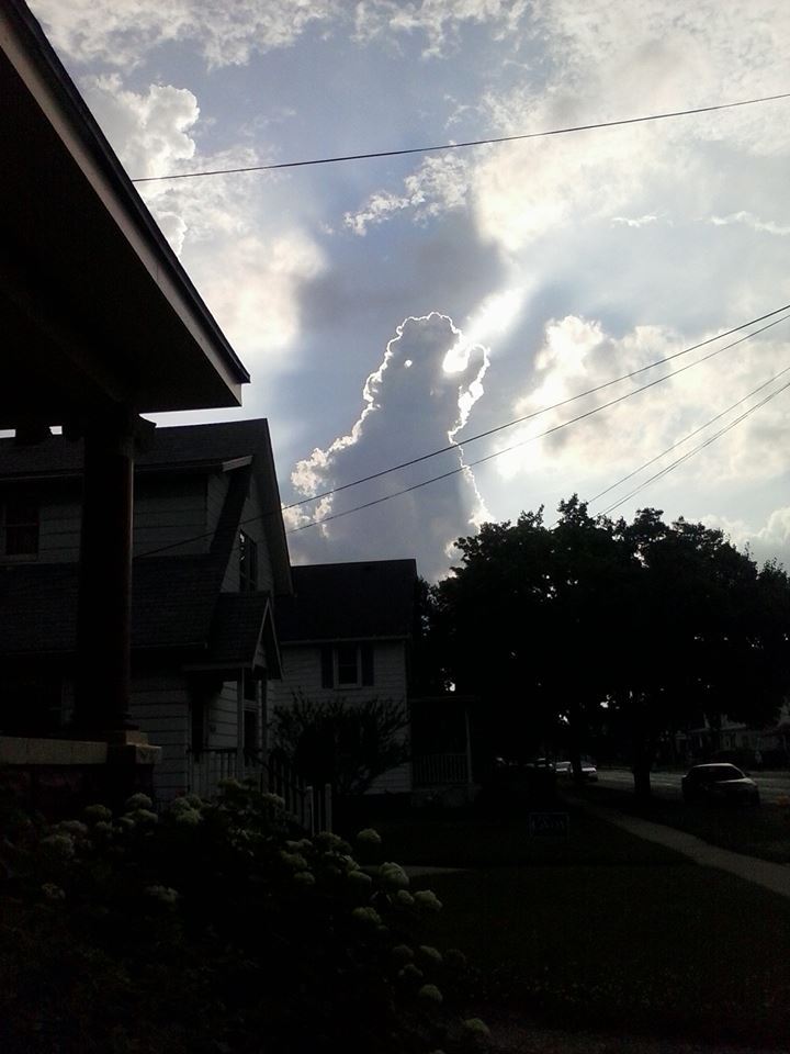 Godzilla.