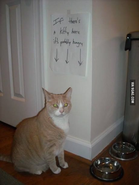Katter...