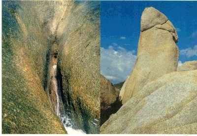 Fin naturbild