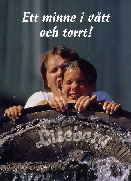 Trevlig bild från Liseberg