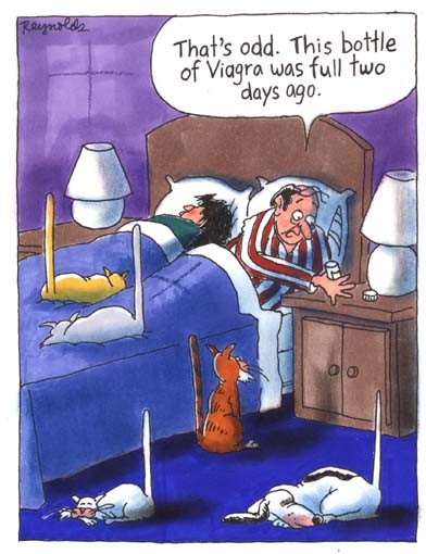 Djuren testar viagra