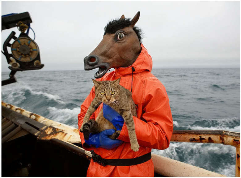 Snelhest med katt ut på kryssning
