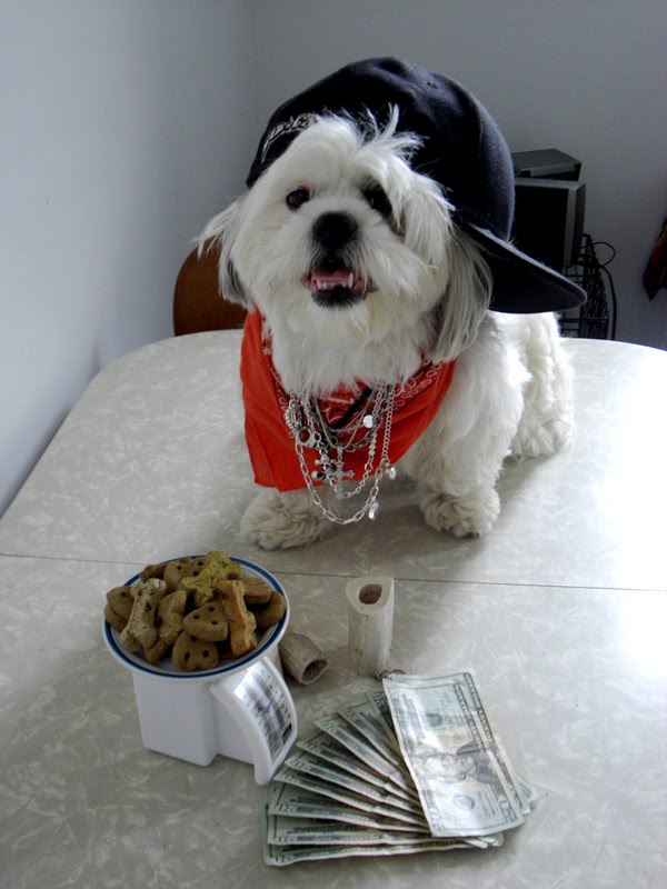 Gangsta dogs