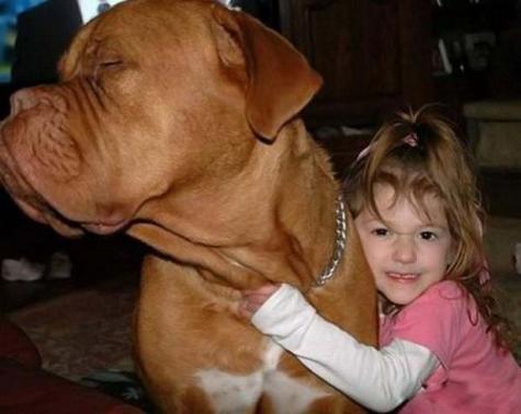 Söt liten hund – bild 1 av 13