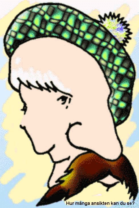 Hur många ansikten ser du?