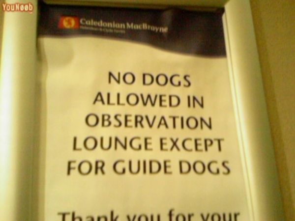 Ironiska skyltar – bild 5 av 39