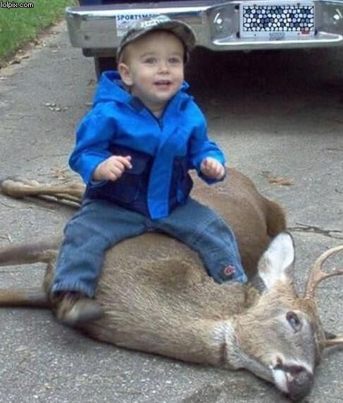 Glad unge rider roadkill