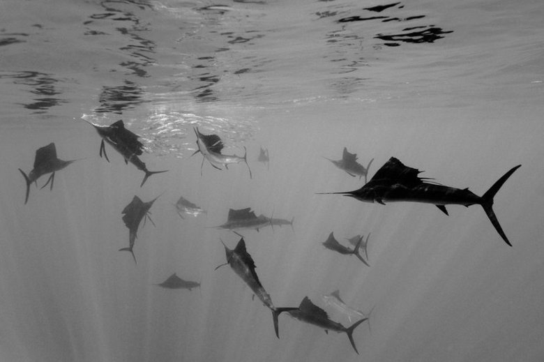 World press photo 2011 vinnare – bild 9 av 36