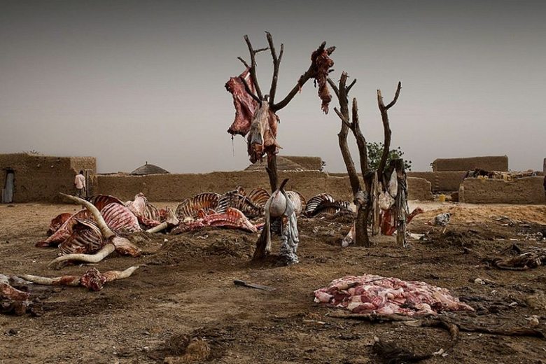 World press photo 2011 vinnare – bild 25 av 36