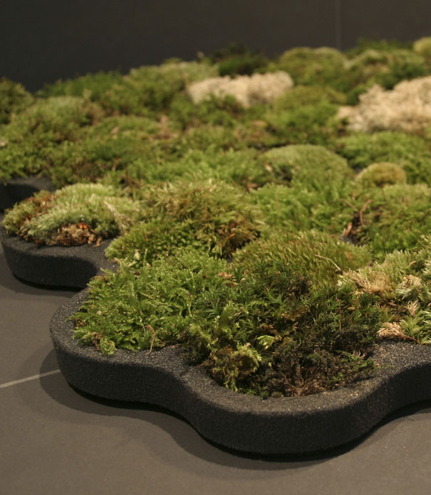 Design inspirerat av naturen – bild 4 av 44