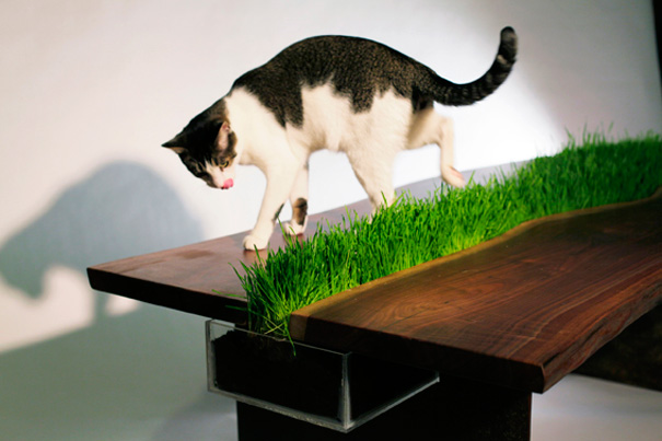 Design inspirerat av naturen – bild 6 av 44