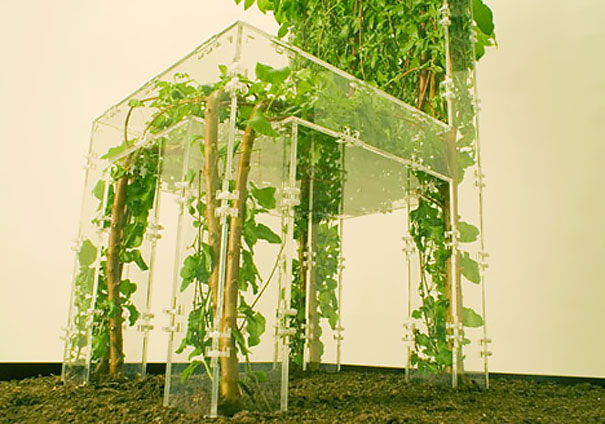 Design inspirerat av naturen – bild 16 av 44
