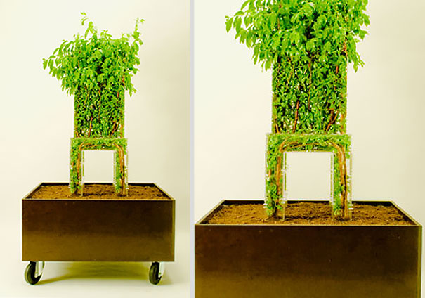 Design inspirerat av naturen – bild 17 av 44