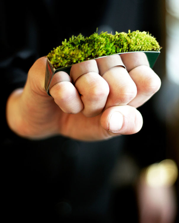Design inspirerat av naturen – bild 19 av 44