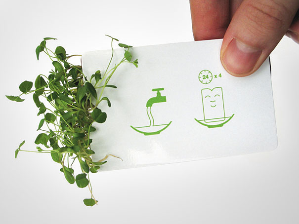Design inspirerat av naturen – bild 20 av 44