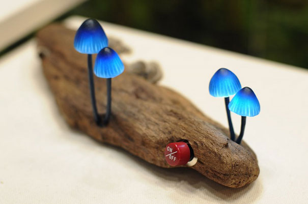 Design inspirerat av naturen – bild 39 av 44