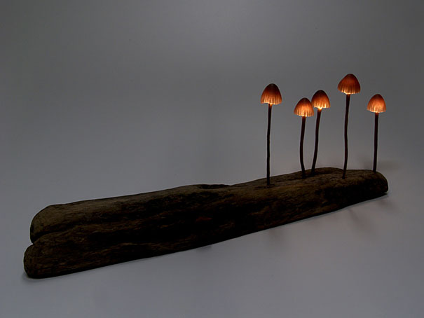 Design inspirerat av naturen – bild 40 av 44