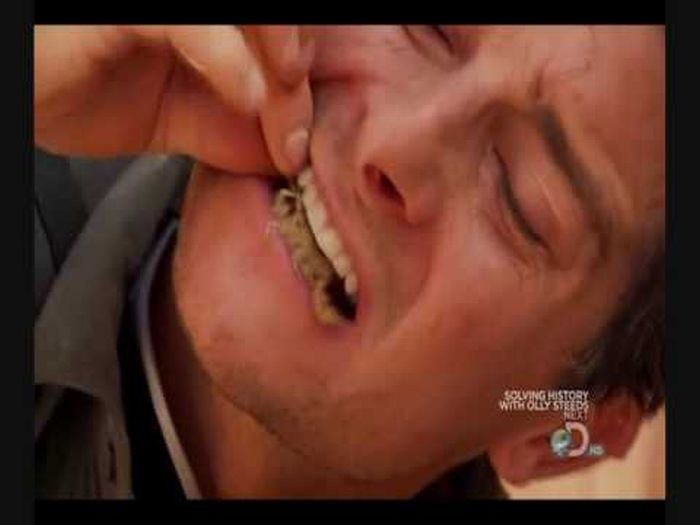 Äckliga saker Bear Grylls har ätit