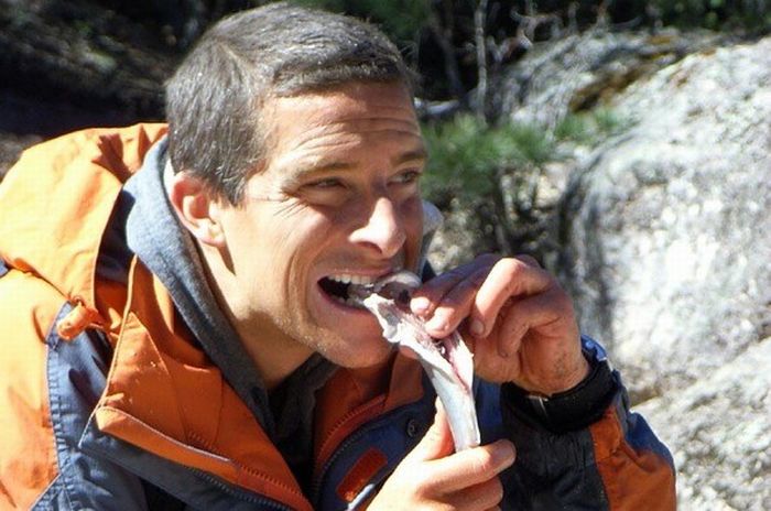 Äckliga saker Bear Grylls har ätit – bild 4 av 16