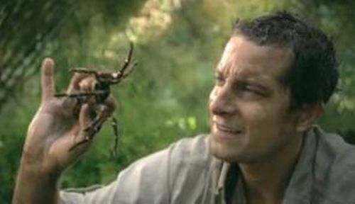 Äckliga saker Bear Grylls har ätit – bild 8 av 16