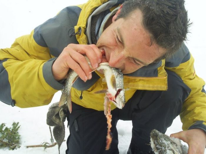 Äckliga saker Bear Grylls har ätit – bild 10 av 16