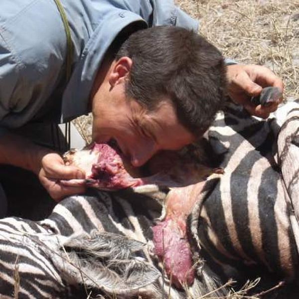Äckliga saker Bear Grylls har ätit – bild 13 av 16