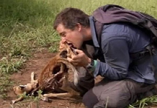 Äckliga saker Bear Grylls har ätit – bild 14 av 16