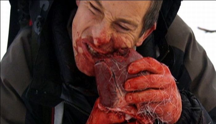 Äckliga saker Bear Grylls har ätit – bild 16 av 16