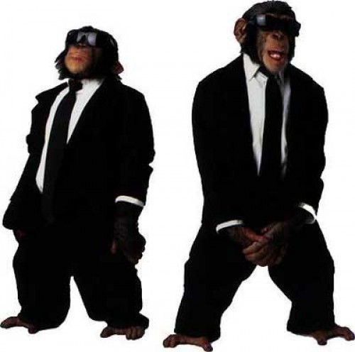 Monkey Bodyguards