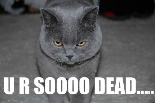 Arg Katt
