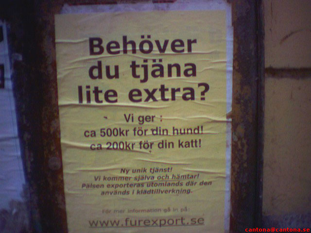 Lite blandade roliga bilder – bild 9 av 9