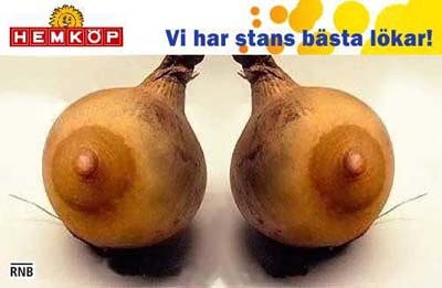 Stans bästa lökar