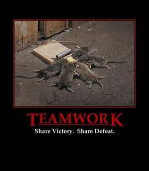 Teamwork med möss