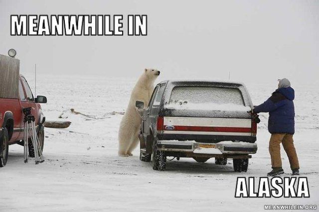 Meanwhile in.. – bild 1 av 45