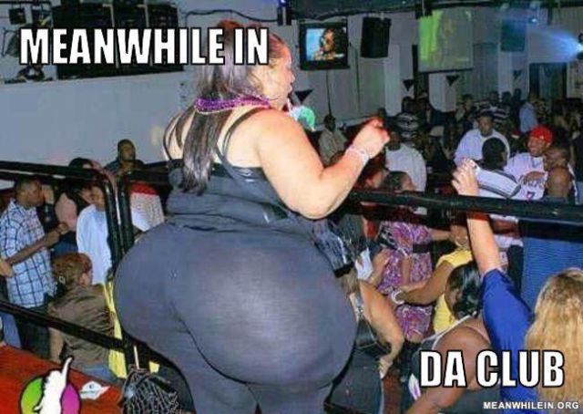 Meanwhile in.. – bild 4 av 45