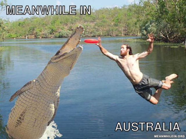 Meanwhile in.. – bild 5 av 45